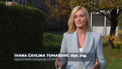 Ivana Čavlina Tomašević