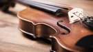 Violina