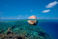 Ponedjeljak, 24. studenog na Drugom, Foto: Legendarna otočja Indijskog oceana: Maldivi/dokumentarna serija