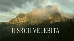 Subota, 29. svibnja na Četvrtom   