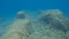 Arheološko nalazište u podmorju Barbarige