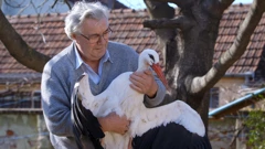 Subota, 1. siječnja na Drugom