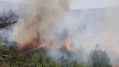 Požari u Grčkoj 