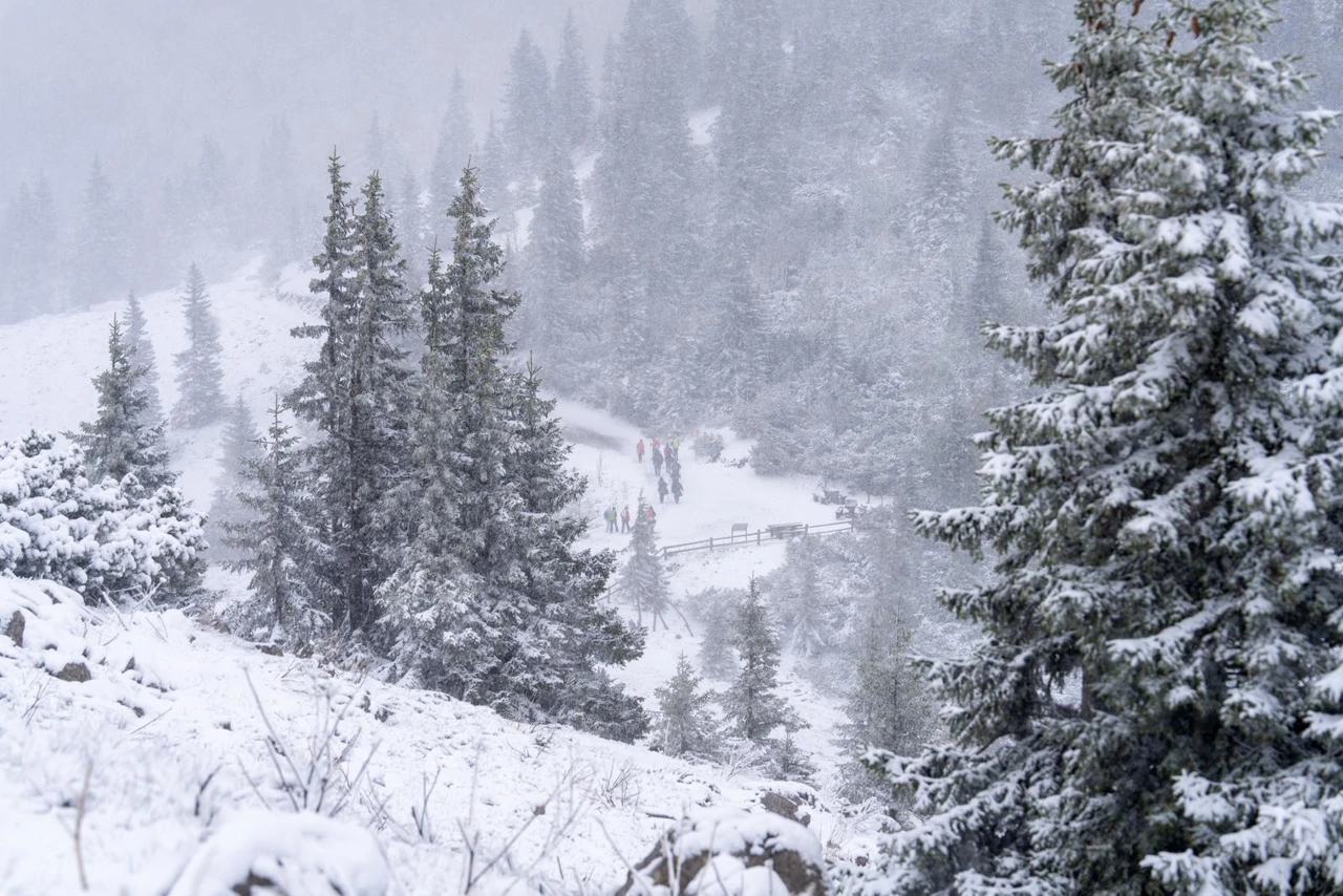 Snijeg u Nacionalnom parku Sjeverni Velebit, Foto: Hrvoje Kostelac /PIXSELL