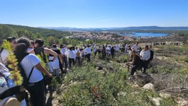 Volonteri Boranke na pošumljavanju šibenskog Šubićevca
