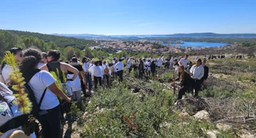 Volonteri Boranke na pošumljavanju šibenskog Šubićevca