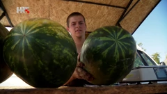 Darko Tomašević