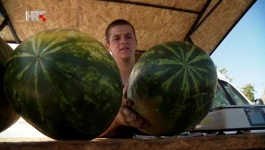 Darko Tomašević