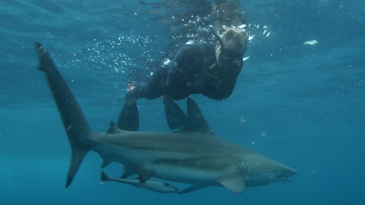 Ponedjeljak, 1. prosinca na Prvom 