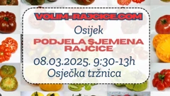 Podjela sjemena