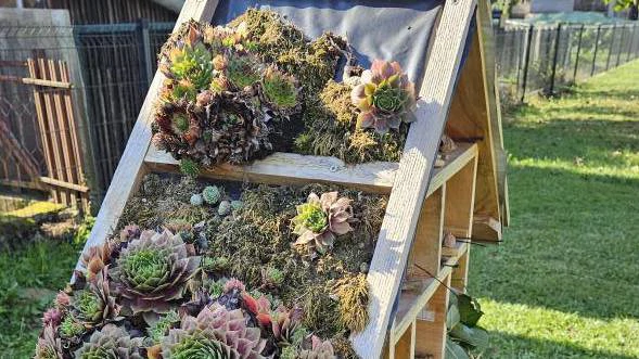 Najljepši školski vrtovi 2026., Foto: Đurđica Čočić/HRT