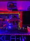 DJ Luce, Foto: Alan Mornar/HRT