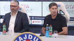 Ivan Bilić, Goran Vučević