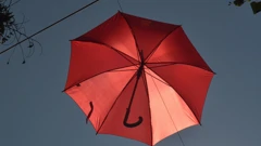 Crveni kišobran kao međunarodni znak otpora diskriminaciji seksualnih radnika / ilustracija