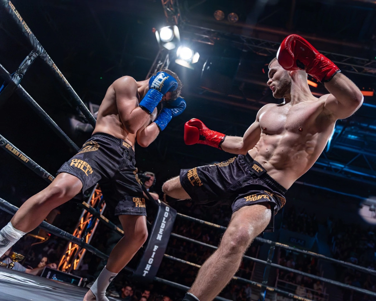 Golden Fight, Foto: Golden Fight/-