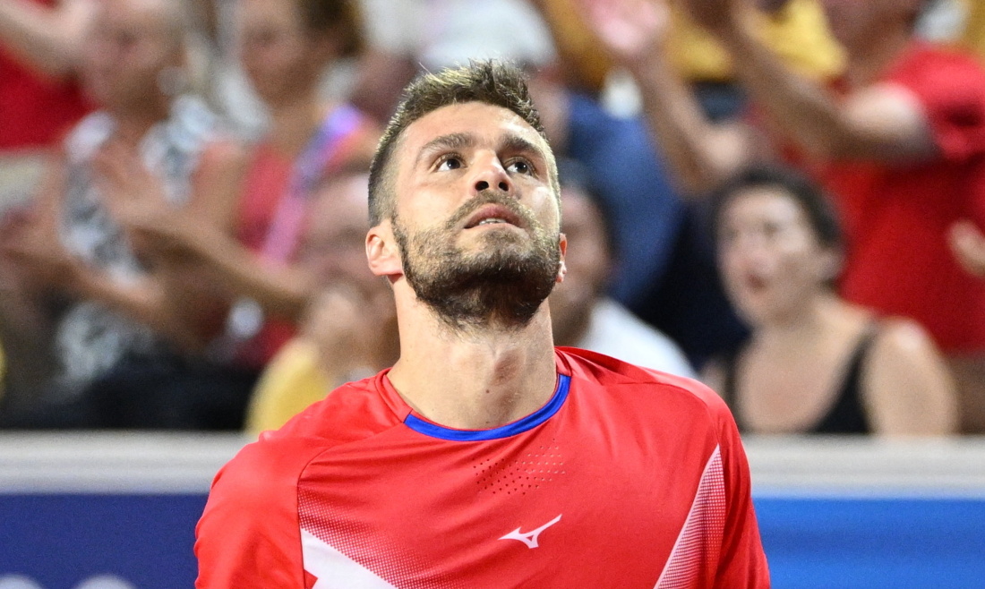 mektic nikola2 20260128080252