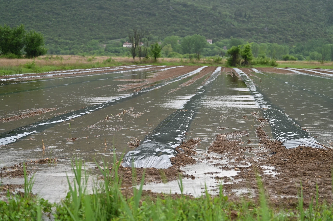 Poplave u vrgoračkom području, Foto: Matko Begovic/PIXSELL