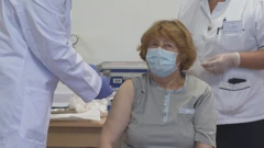 Branka Aničić
