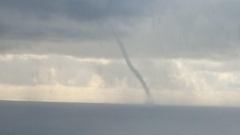 Pijavica u Dubrovniku, Foto: Čitateljica / HTV/HRT