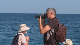 Fotograf Mrlja: čovjek koji je Zadar pretvorio u priču za svijet