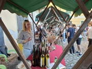 7. Festival vina i sira, Foto: M.Milas/Radio Osijek