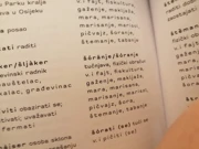 „Osječki gradski govor. Jezične dumine Osječana” , Foto: TM/Radio Osijek