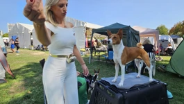 Slavonija dog shows 2025.