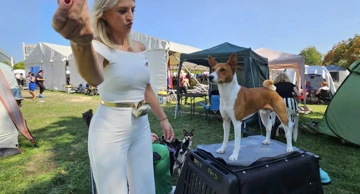 Slavonija dog shows 2025.