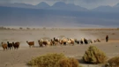 Chile: desierto de Atacama