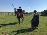 Iz epizode: Konji/magarci, Foto:  Pametan kao kokoš, tvrdoglav kao magarac/serijal