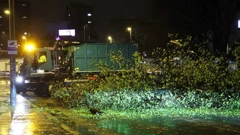 Zagreb: Promet kod Trešnjevačkog placa obustavljen nakon pada stabla, Foto: Matija Habljak /PIXSELL