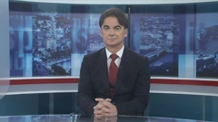 Branko Grčić, bivši potpredsjednik Vlade za gospodarstvo (SDP), Foto: htv/HRT