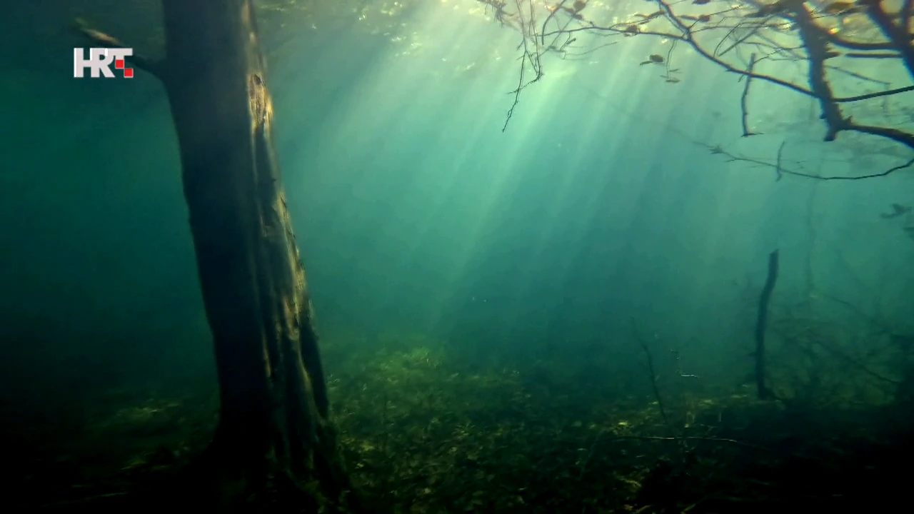 Jezero Ponikve