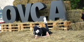 Crna ovca vraća publiku u Bašku, Foto: -/Studio Conex