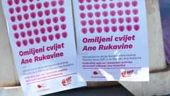 "Omiljeni cvijet Ane Rukavine"