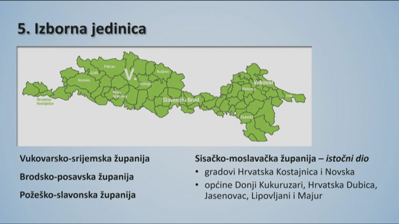 5. Izborna jedinica