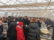 Vinkovo u Iloku, Foto: HTV/HRT