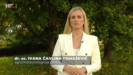 Ivana Čavlina Tomašević