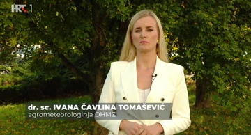Ivana Čavlina Tomašević