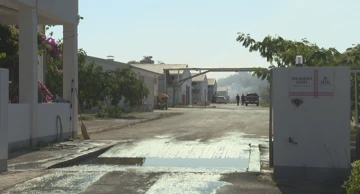 Požar u peradarniku kod Biograda: Izgorjelo 18,5 tisuća koka