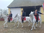 20. pokladno jahanje u Tenji, Foto: M.Milas/Radio Osijek