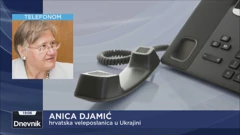 Anica Djamić