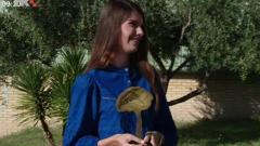 Petra Koceić Bilan