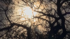 Ponedjeljak, 9. ožujka na Drugom, Foto: "Kuća moje babe…"/dokumentarni film