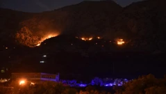 Požar na Biokovu, Foto: Matko Begovic /Pixsell