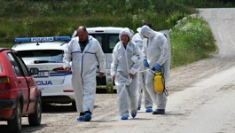 Dosad eutanazirano skoro 20.000 svinja