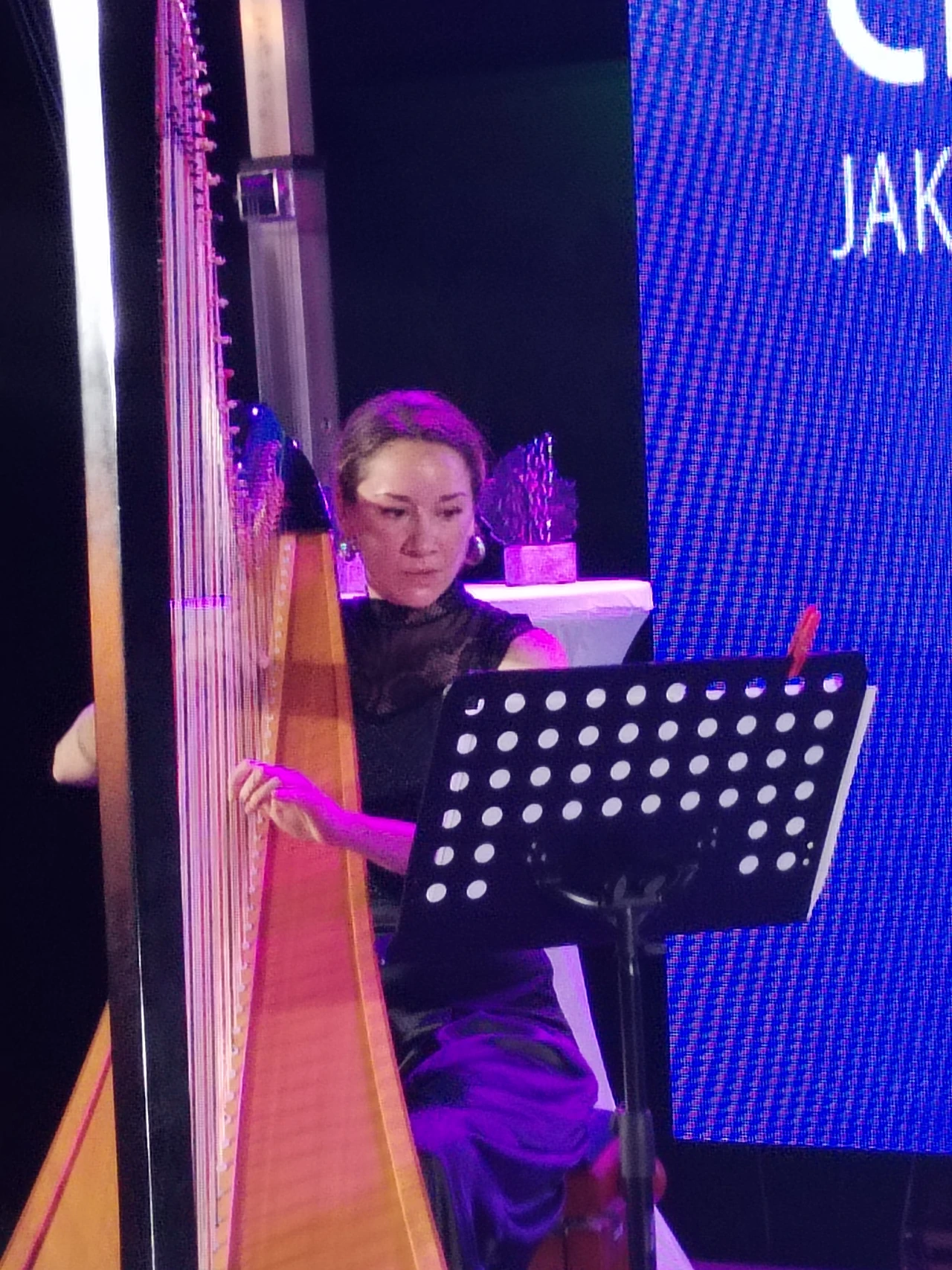 Harfistica Hana Paraušić, Foto: ustupljena fotografija/Vjekoslav Madunić