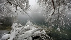 Boris Scitar/Vecernji list/PIXSELL, Foto: -/-