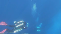 Istru nakon sezone osvajaju ronioci