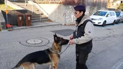 Četvrtak, 9. siječnja na Trećem, Foto: Neobičnosti Švicarske/dokumentarni film